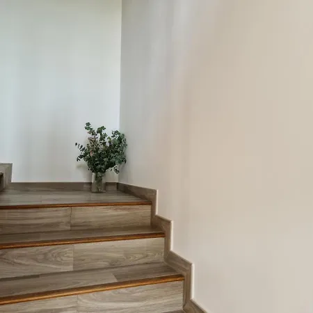 De - La Milera * 파네스